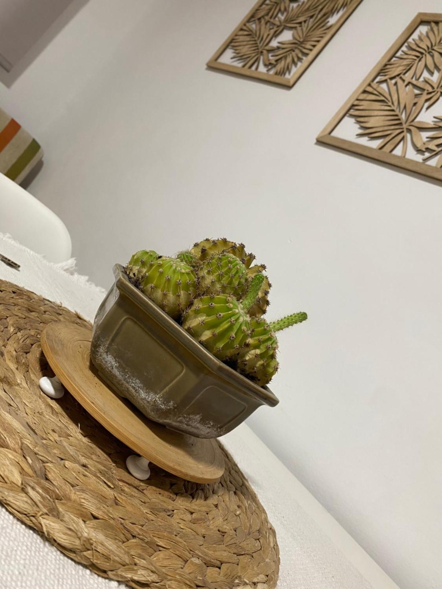 Apartamento Vistafranca マラガ エクステリア 写真
